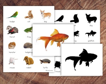 May include: A set of flashcards featuring various animals, including a budgie, cat, dog, ferret, frog, hamster, hedgehog, mouse, rabbit, turtle, and goldfish. Each card has a color image of the animal and the name of the animal written below the image. The cards are designed to help children learn about different animals.