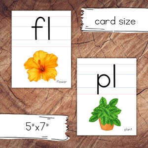 Tarjetas de mezclas iniciales con líneas
