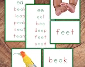 Montessori Green Series Language Cards, Learn to Read Long Vowel Sounds, Digraphs & Select Dipthongs
