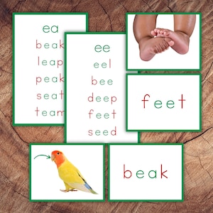 Tarjetas de lenguaje Montessori Green Series: aprenda a leer vocales largas, dígrafos y diptongos seleccionados