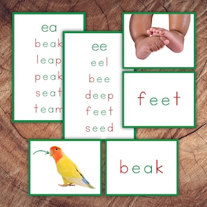 Montessori Green Series Language Cards, Learn to Read Long Vowel Sounds, Digraphs & Select Dipthongs