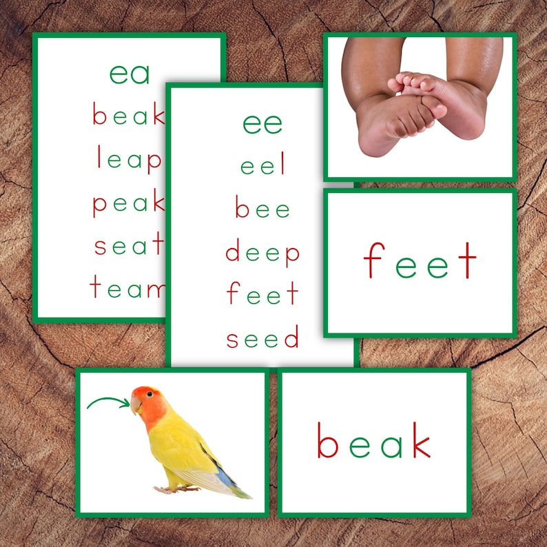 Montessori Green Series Language Cards, Learn to Read Long Vowel Sounds, Digraphs & Select Dipthongs image 1