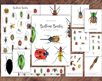Brilliant Beetles Preschool Bundle, Homeschool Printable