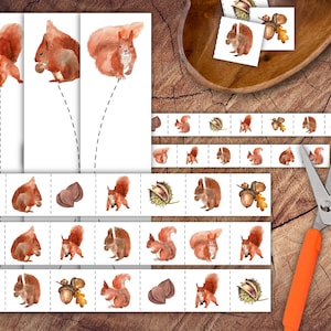 Squirrels Scissor Strips Set, Preschool Scissor Practice