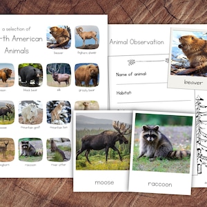 North American Animals Pack with Extension