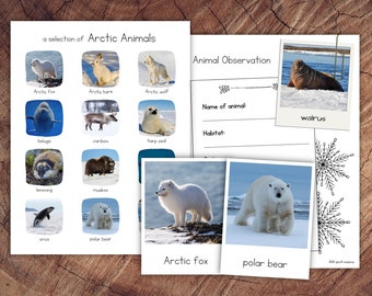 Arctic Animals Pack with Extension