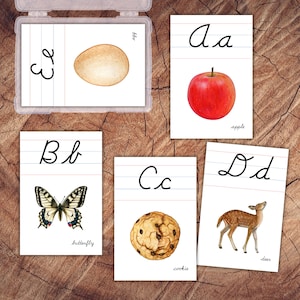 Peut inclure: Un ensemble de cartes éducatives illustrant l'alphabet en lettres cursives de A à E. Chaque carte présente une lettre majuscule et minuscule sur papier ligné avec une illustration correspondante : pomme, papillon, biscuit, cerf et œuf.