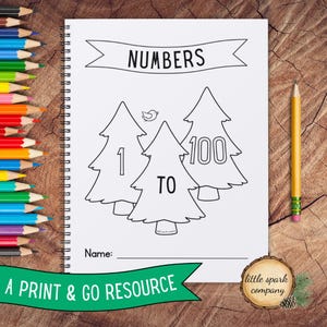 Number Sense 1-100 Workbook DIGITAL DOWNLOAD