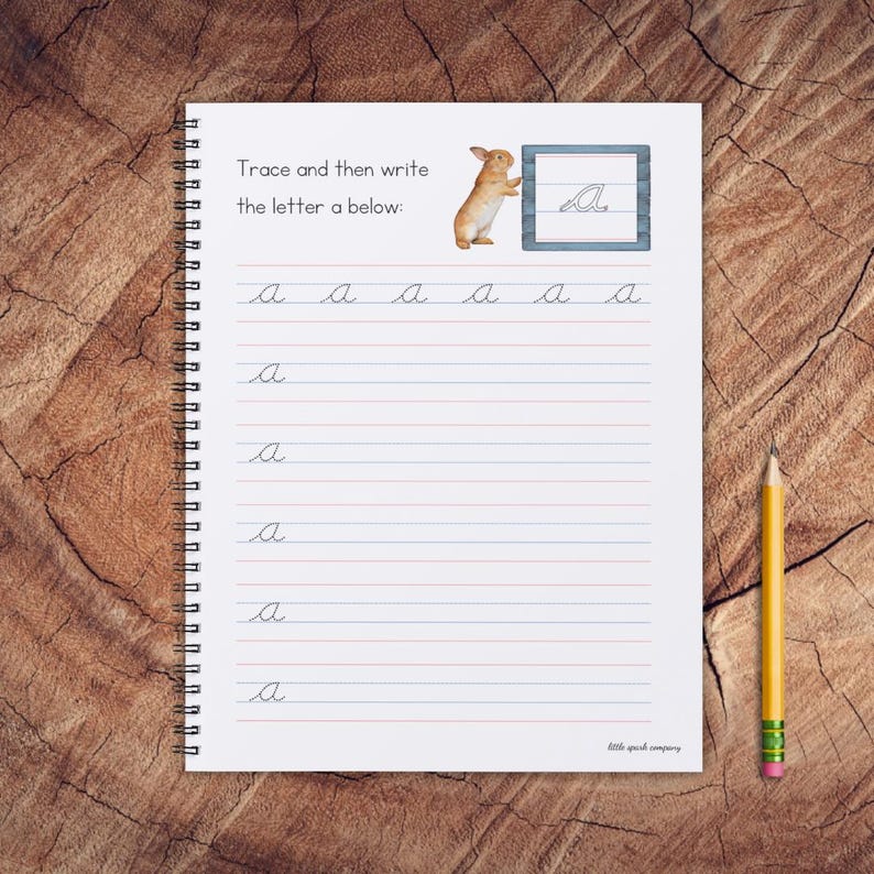 May include: A workbook page with a cursive letter 'a' in a box. A cartoon rabbit is looking at the letter. The page has lines for tracing the letter 'a' and then writing it.