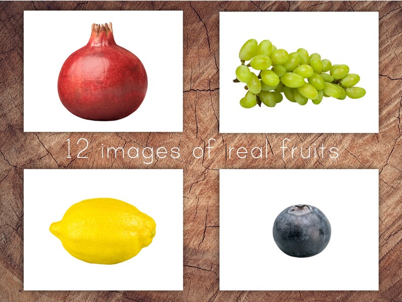 Fruits Picture Matching Cards Silhouette Matching Toddler Etsy