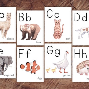 Cartões do alfabeto Animais do Mundo, impressão manuscrita