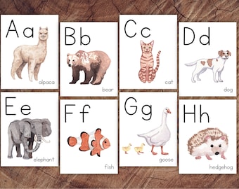 Animals of the World Alphabet Cards, Manuscript Print