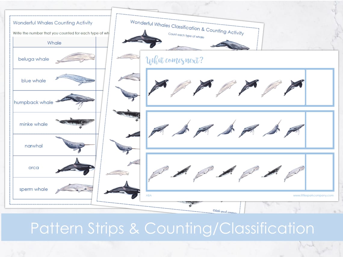 Wonderful Whales Bundle Preschool Literacy Math DIGITAL Etsy
