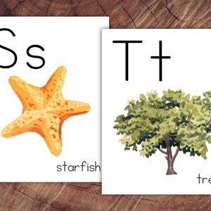 May include: Two educational art prints featuring the letters "S" and "T". The "S" print shows a watercolor starfish, and the word "starfish" below. The "T" print shows a watercolor tree, with the word "tree" below. The prints are on a wooden surface.