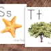 Alphabet Posters, Large Format for Classroom Use - Etsy