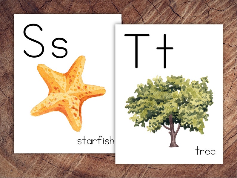May include: Two educational art prints featuring the letters "S" and "T". The "S" print shows a watercolor starfish, and the word "starfish" below. The "T" print shows a watercolor tree, with the word "tree" below. The prints are on a wooden surface.