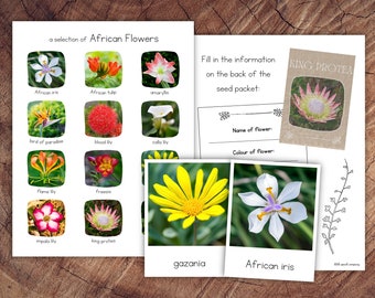 African Flowers Pack with Extension