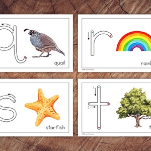 Printing Primer Cards, Lowercase Edition - Etsy