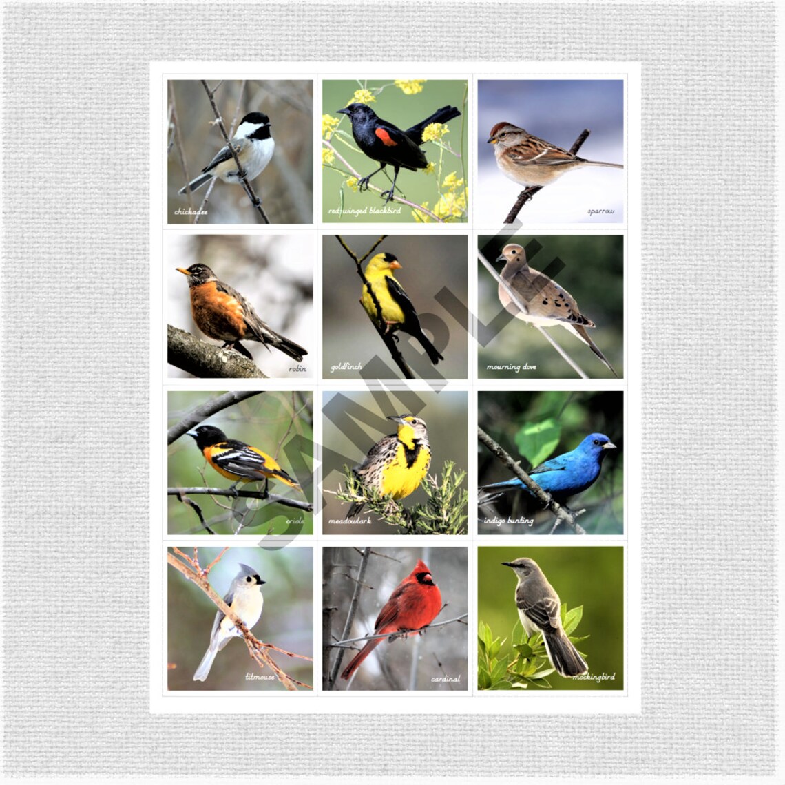 Backyard Birds Memory Game Matching Cards DIGITAL DOWNLOAD Etsy