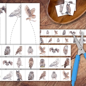 Owls Scissor Strips Set, Preschool Scissor Practice
