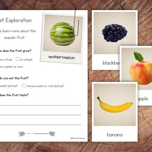 Fruits Pack with Extension image 5