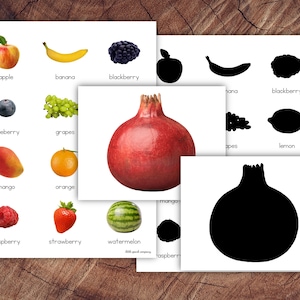 Fruits Picture Matching Cards, Silhouette Matching, Toddler Preschool Activity