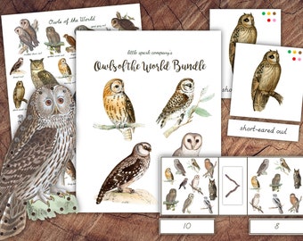 Owls of the World Bundle, Preschool Literacy, Math DIGITAL DOWNLOAD