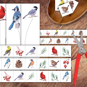 Conjunto de tiras de tesoura Winter Birds, prática de tesoura pré-escolar