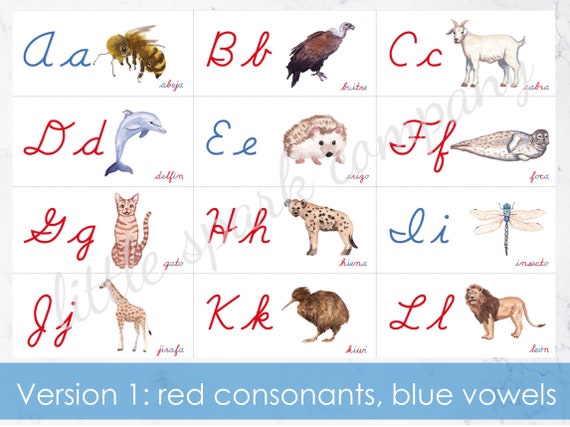 Animals of the World Language Cabinet Labels SPANISH Cursive ...