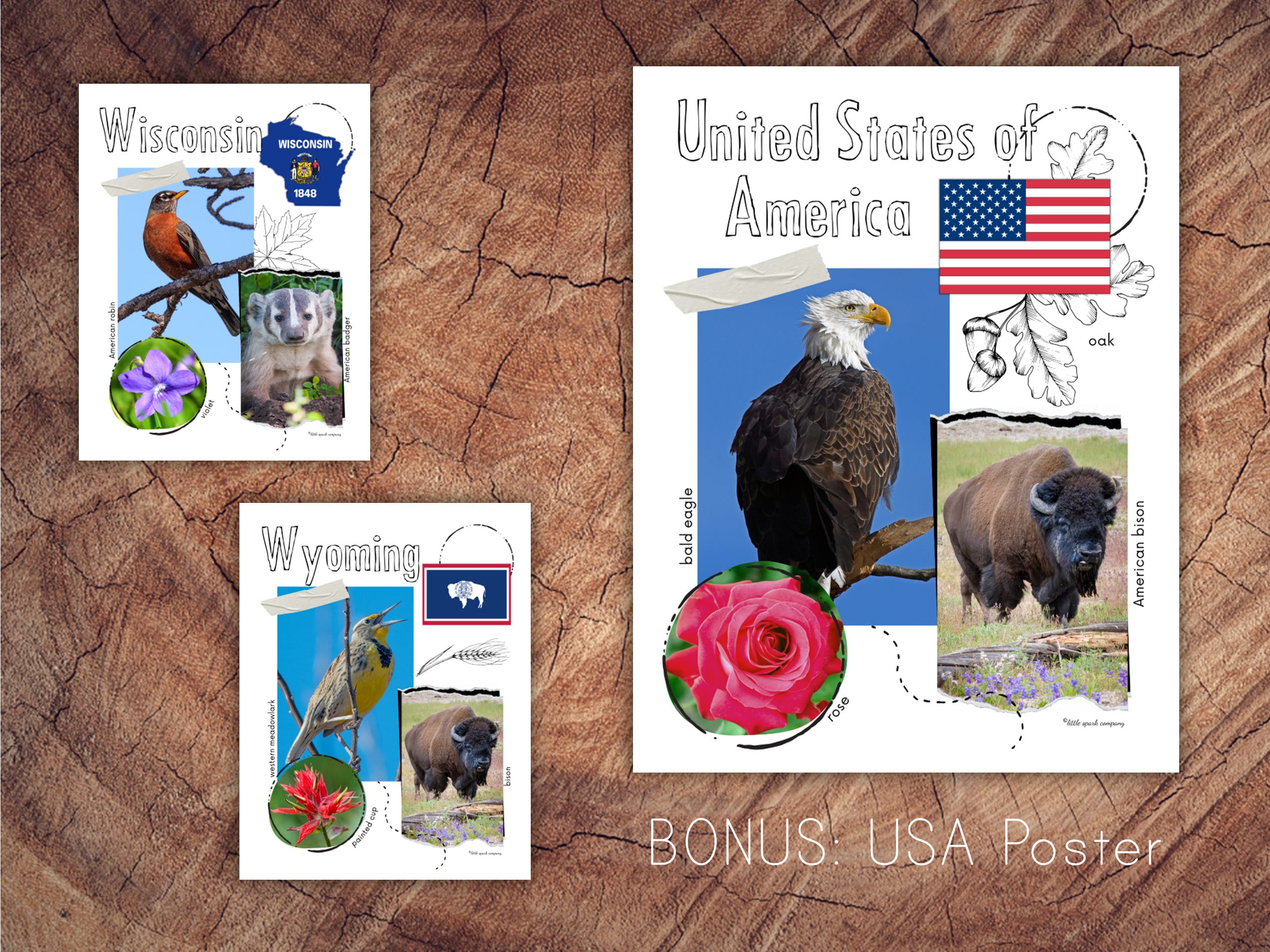 US States Poster Set , Homeschool Geography - Etsy