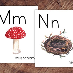 May include: Two watercolor art prints on white paper. One features a red mushroom with white spots, the letter "Mm", and the word "mushroom". The other shows a bird's nest, the letter "Nn", and the word "nest".
