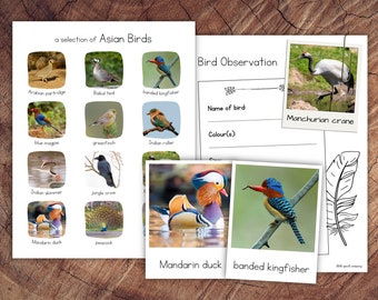 Asian Birds Pack with Extension