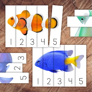Puzzle numerici sui pesci 1-5, riconoscimento dei numeri, ordine