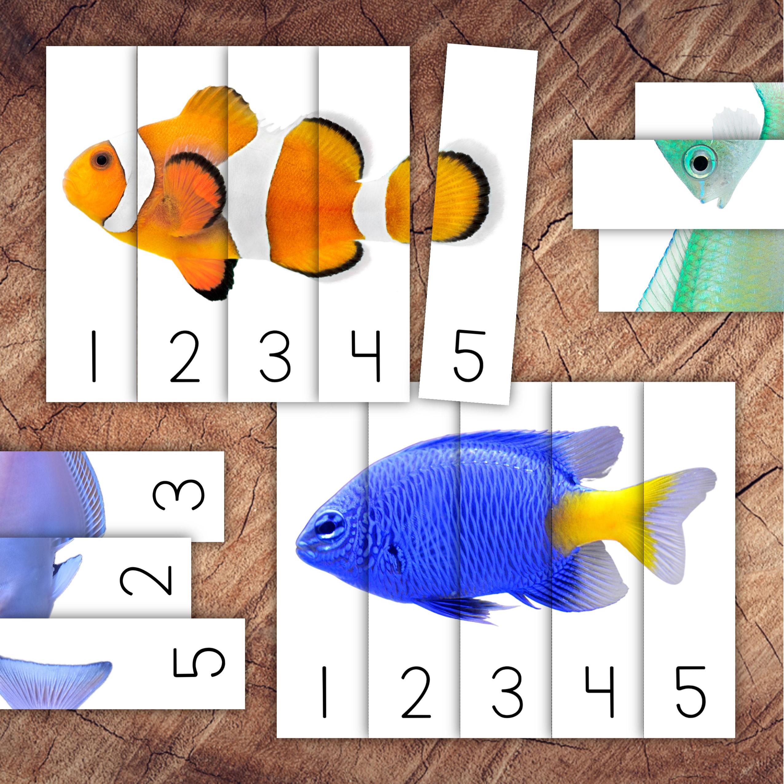魚の数字パズル1-5、数字の認識、順序 - Etsy 日本