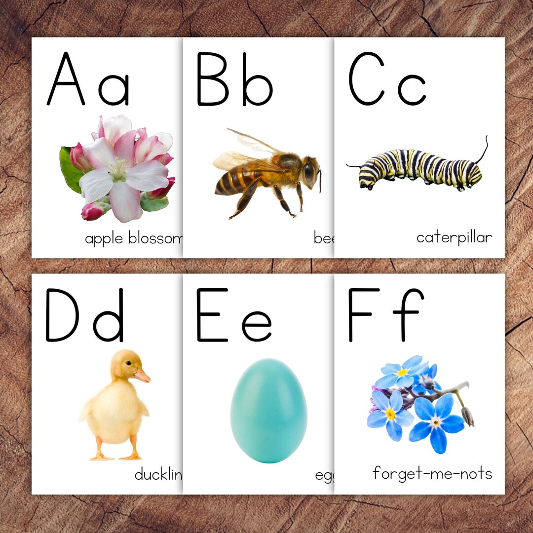 Spring Alphabet Poster Set, Real Images - Etsy