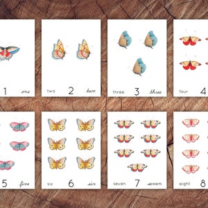 Birds, Blooms and Butterflies Preschool Math Bundle, Homeschool Printable image 3