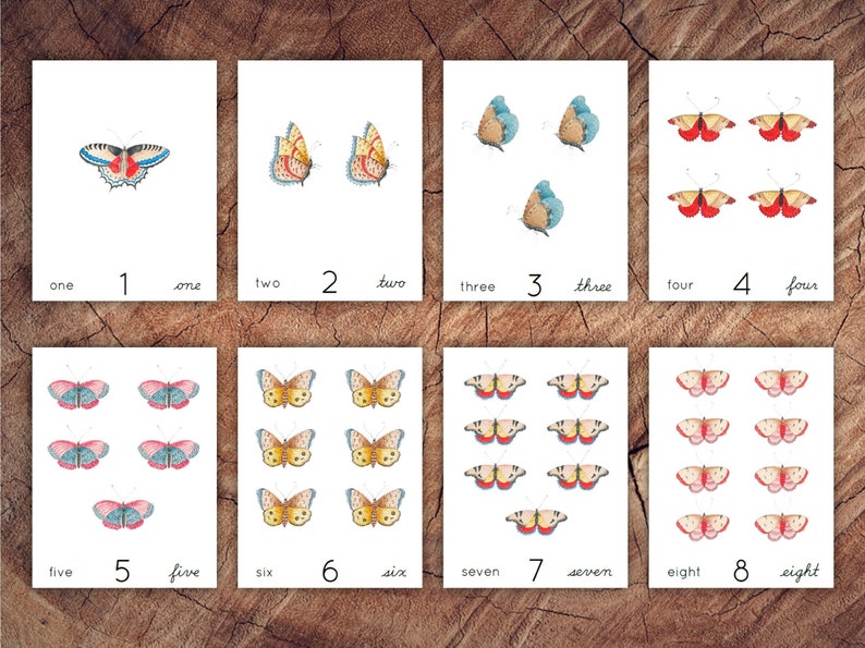 Birds, Blooms and Butterflies Preschool Math Bundle, Homeschool Printable image 3