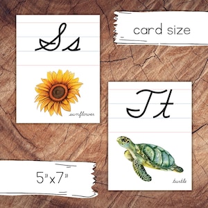 Cartes alphabet cursive, ligné