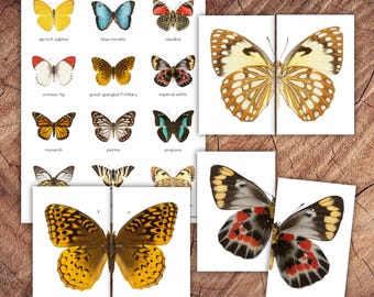 Butterfly Symmetry Puzzles, Matching Cards, Toddler Preschool Activity