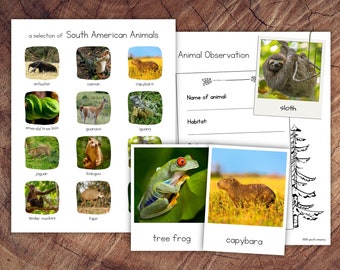 South American Animals Pack With Extension - Etsy South American Animals Pack With Extension - Etsy