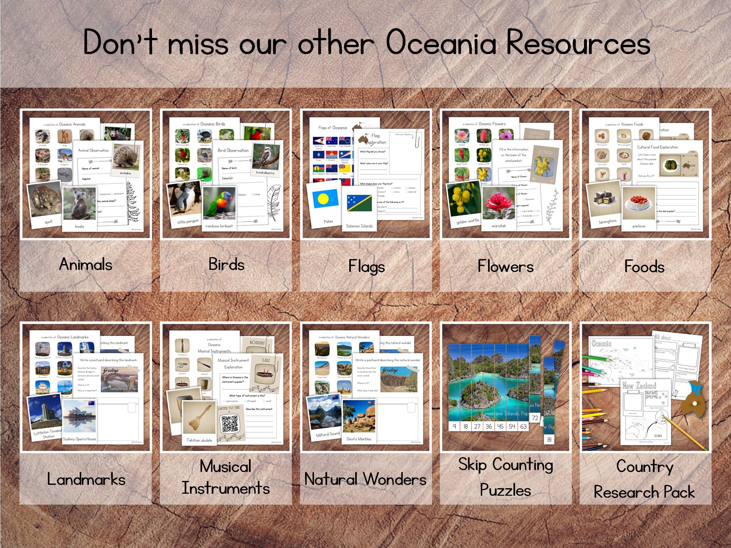 Ocean Music Instruments Oceanic Musical Instruments Pack With Extension - Etsy