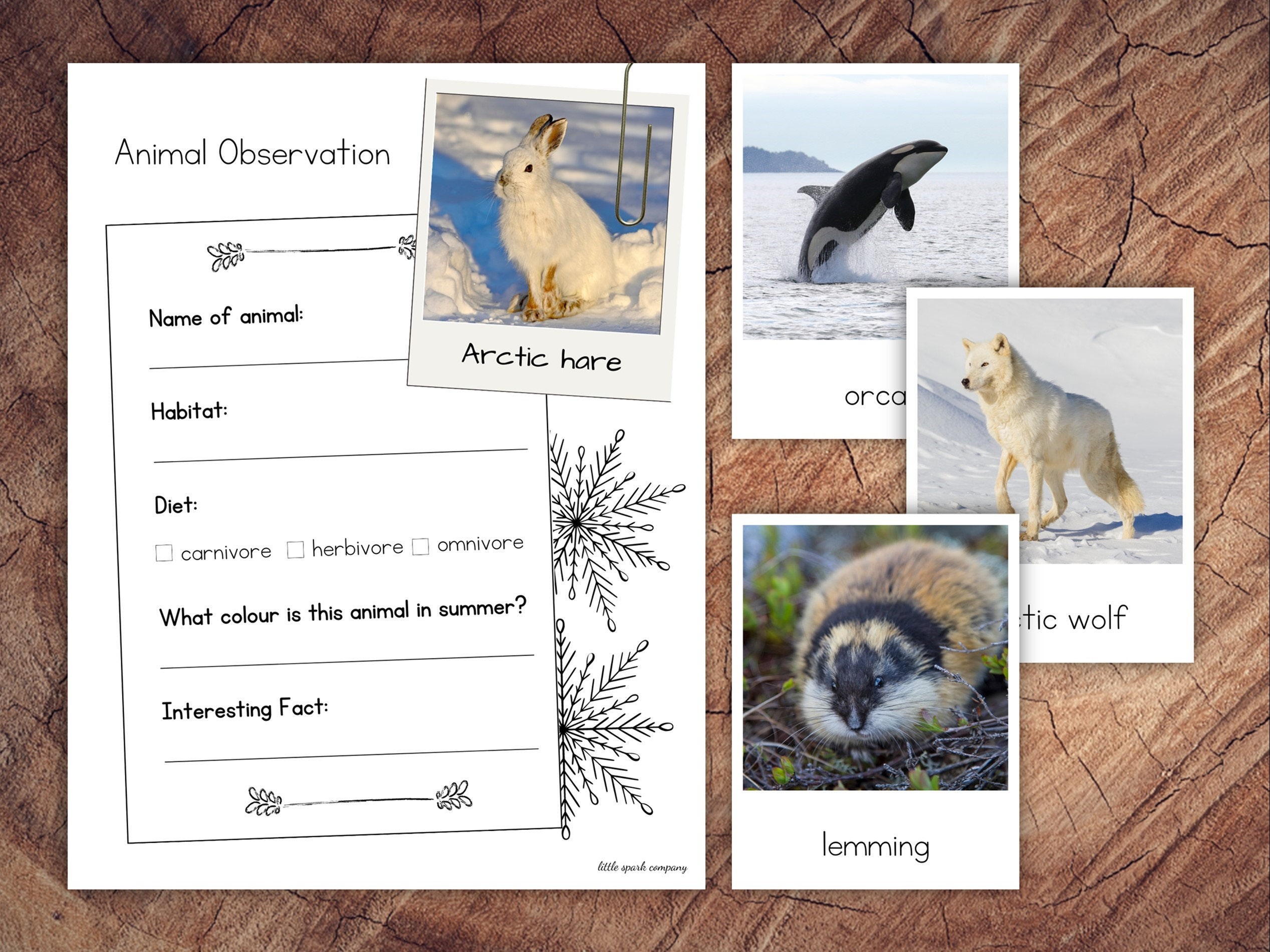 Arctic Animals Pack With Extension - Etsy Canada Arctic Animals Pack With Extension - Etsy Canada