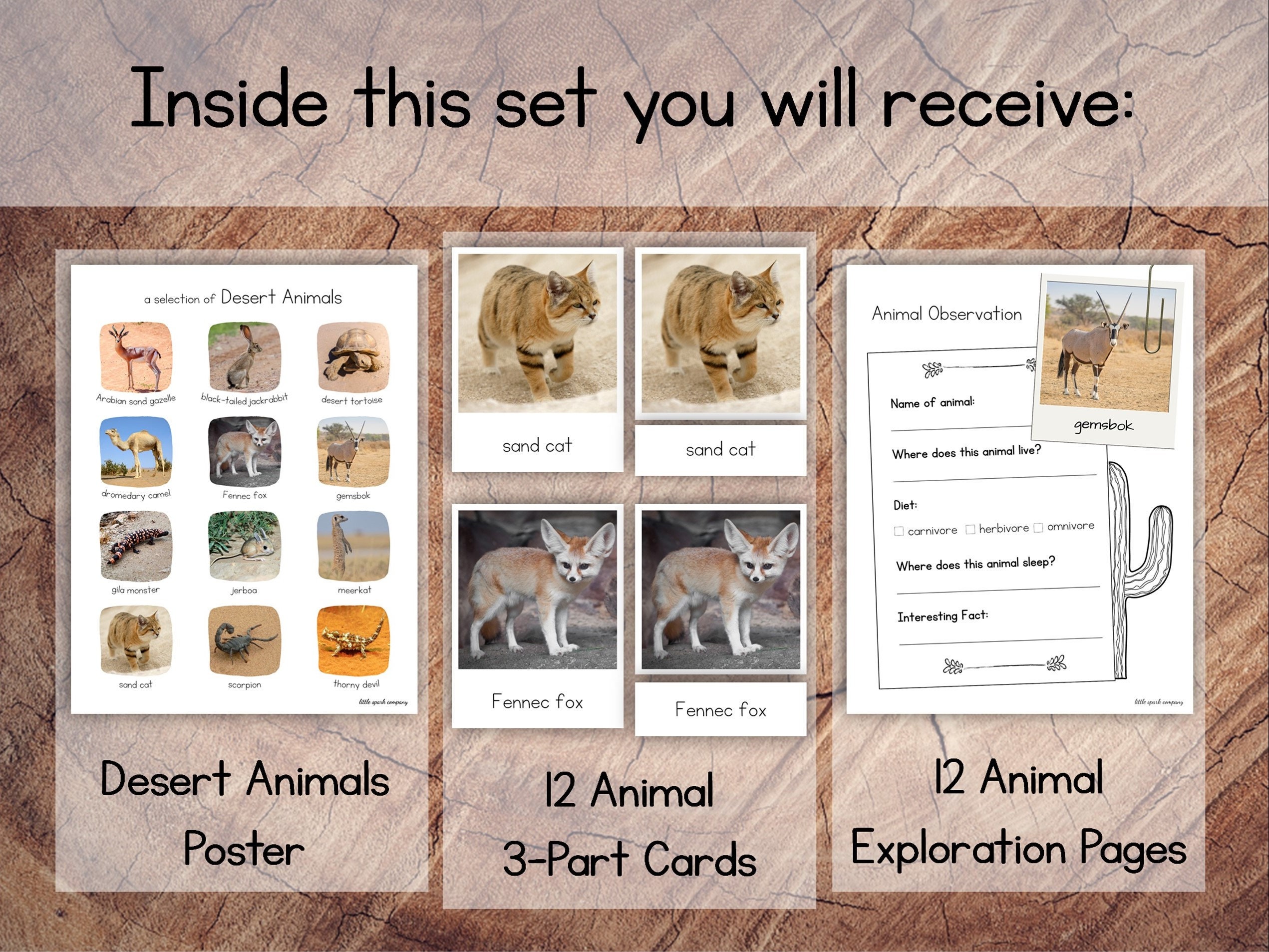 Desert Animals Pack With Extension - Etsy Australia Desert Animals Pack With Extension - Etsy Australia