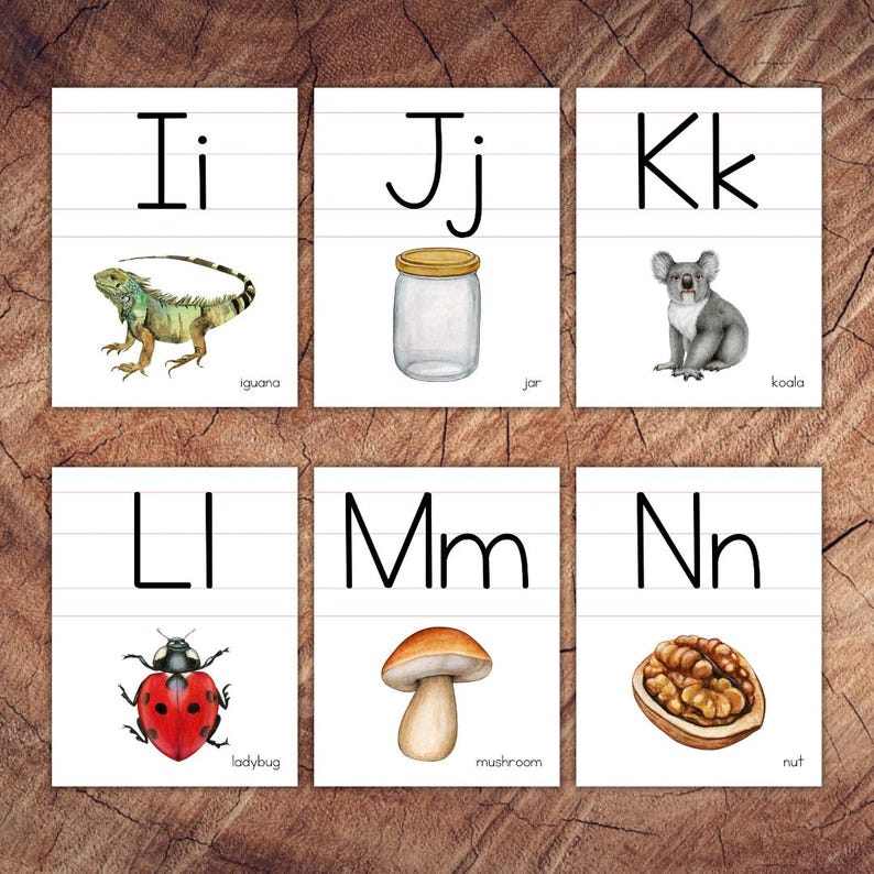 May include: Alphabet flash cards with illustrations of an iguana, jar, koala, ladybug, mushroom, and nut. The letters I, J, K, L, M, and N are printed in black on white cards.