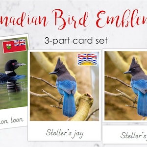 Canadian Bird Emblems 3-part Card Set - DIGITAL DOWNLOAD