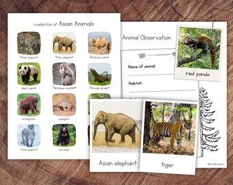 Asian Animals Pack with Extension