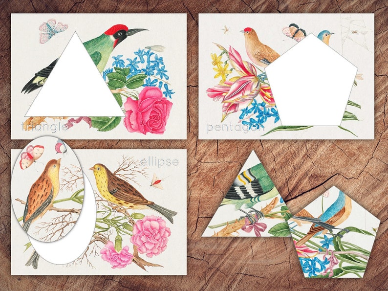Birds, Blooms and Butterflies Preschool Math Bundle, Homeschool Printable image 2