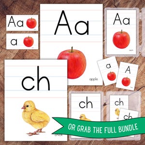 Alphabet Posters Lined, Large Format for Classroom Use image 7