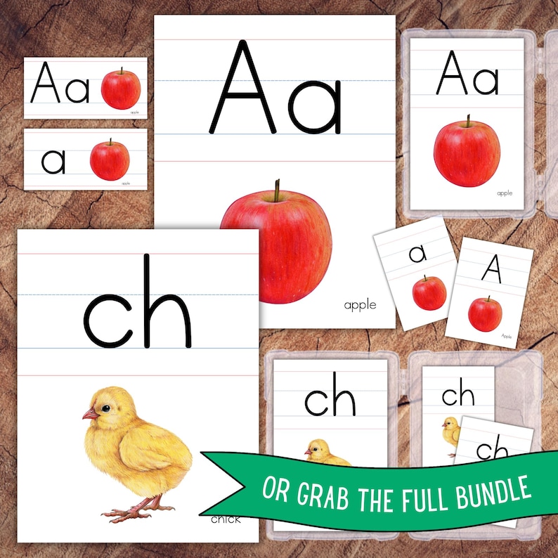 Alphabet Posters Lined, Large Format for Classroom Use image 7