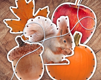 Autumn Lacing Cards, Real Images, Toddler Preschool Activity